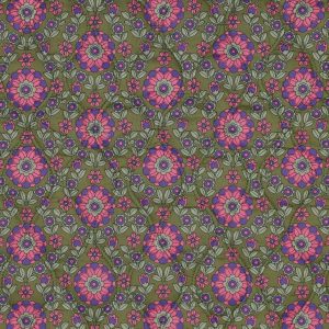 05678.001_image3