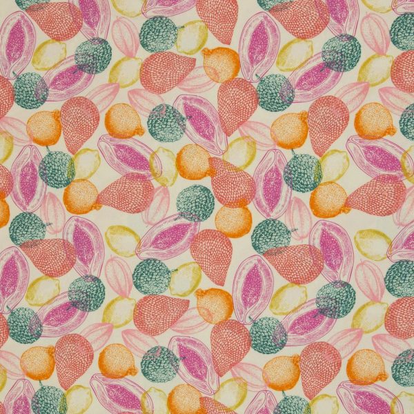 082701-100999-fruit-bienvenidocolorido-40
